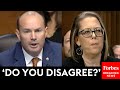 Am i misreading your statement mike lee grills judicial nominee about her past writings