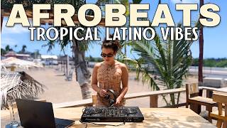 Afrobeat Latino Mix | Tropical Beach Vibes | Myke Towers, Kapo, Farruko, Beéle, Manuel Turizo...