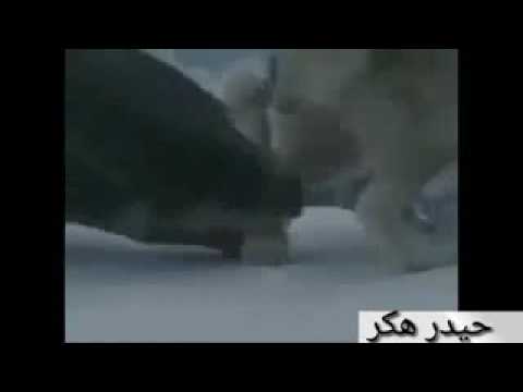 موال حزين الذيب