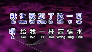 刘德华  《 忘情水 》  wang qing shui