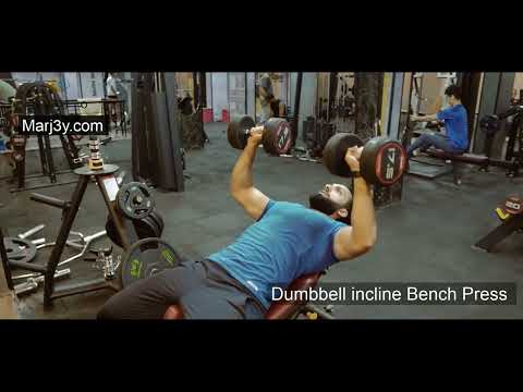 Marj3y - Chest exercises - Dumbbell Incline Bench Press - مرجعى - تمارين الصدر بالدامبل سفلى