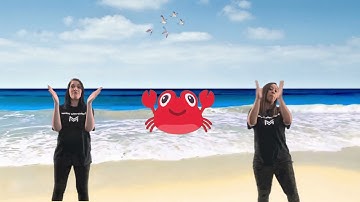Ocean Jam by Music Movement ♫ Fun Sing-a-long & Action Songs for Kids ♫