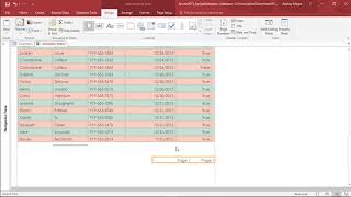 MS Access 2016 - Format Reports