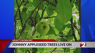 Johnny Appleseed trees live on