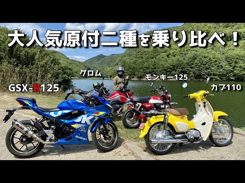 【125cc乗り比べ】大型ライダーに小型バイクを奨めたら買うのか？ヒヨコちゃんの勧誘を受けると…？【原付二種ツーリング】