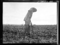 Since I've Laid My Burdens Down Mississippi John Hurt