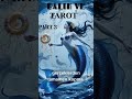 BALIK VE TAROT 3