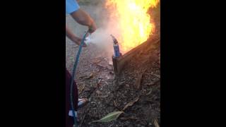 Flour and fire experiment