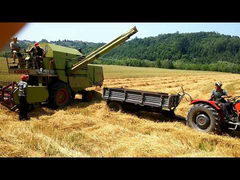 Video: Kakvo Je Zrno Biserni Ječam