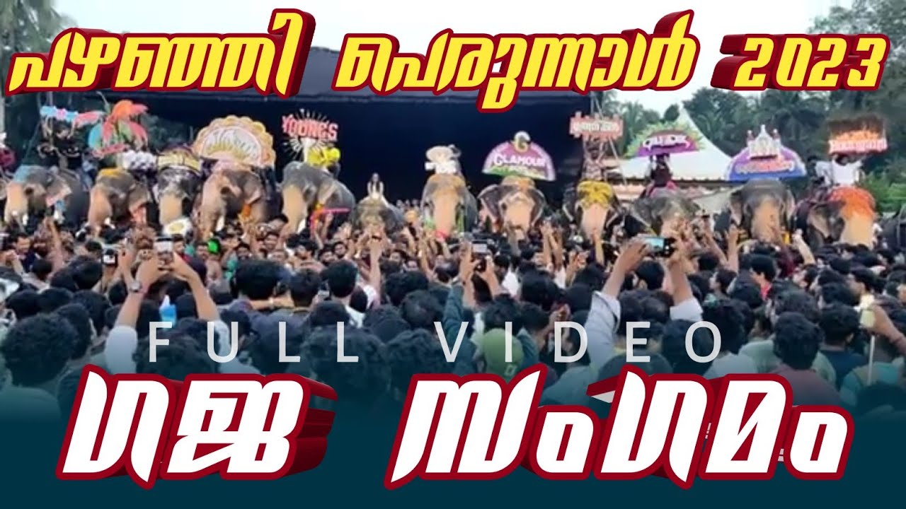 പഴഞ്ഞി പെരുന്നാൾ ഗജ സംഗമം|gajasagamam pazhanji perunal 2023|pazhanji gajasangamam|gajasagamam 2023