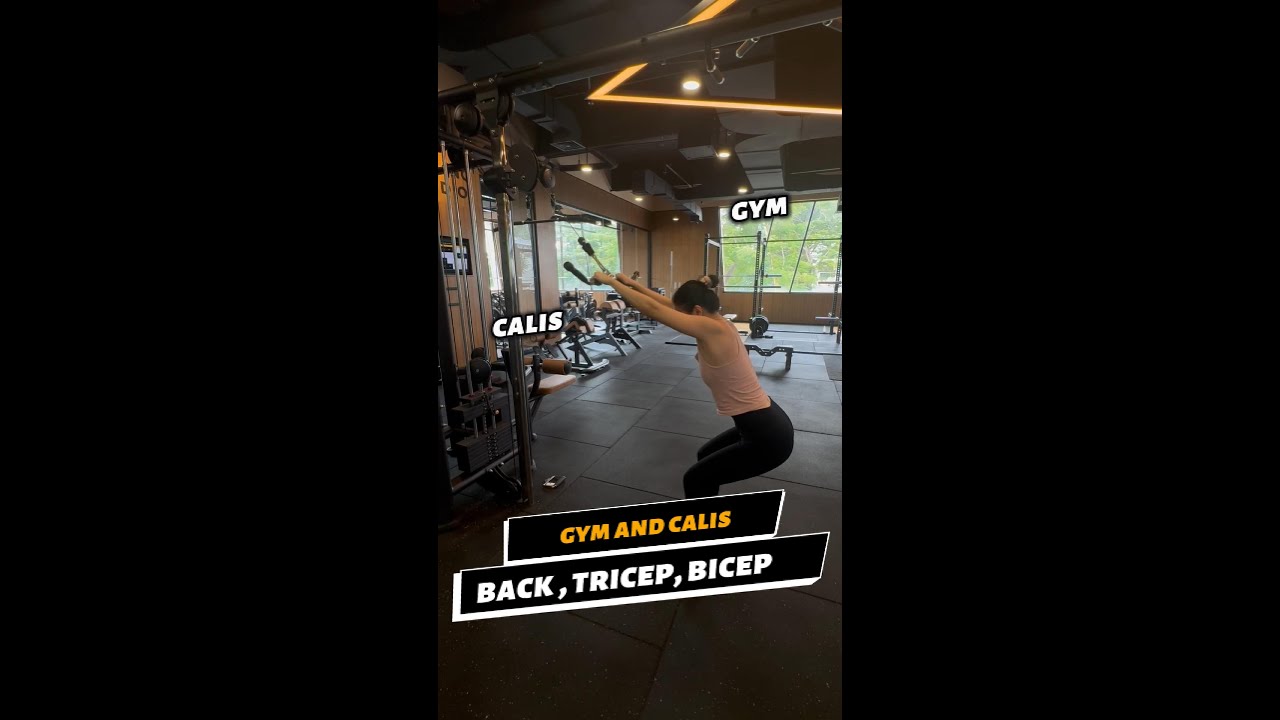 Build Muscle | Back, Triceps & Biceps Workout (Gym & Calisthenics