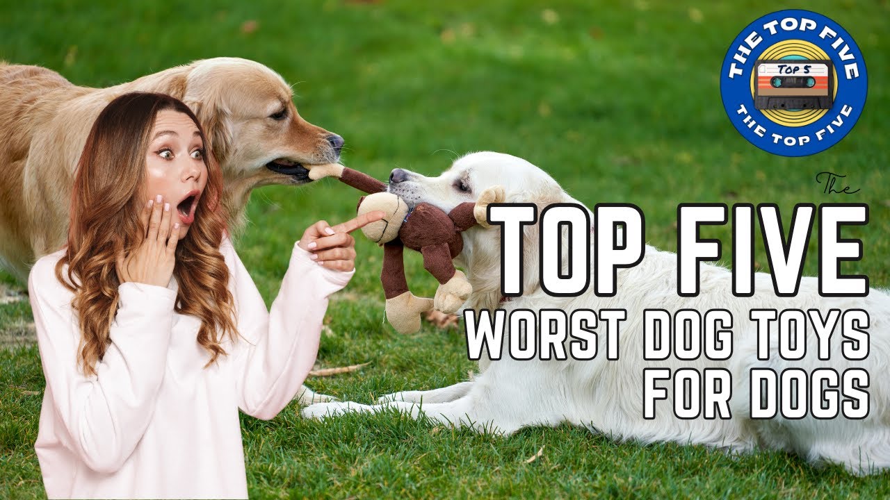The Top 5 Worst Dog Toys [4K]