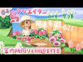 【あつ森】島クリエイター案内所周りと細道を作る～まったり実況～【あつまれどうぶつの森】《part.4》