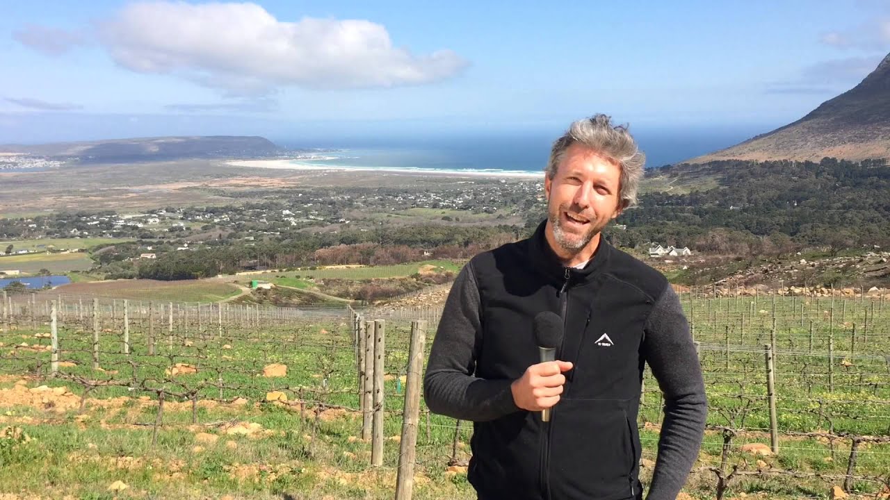 Duncan Savage (Cape Point Vineyards) on his expectations for Cape Wine 2015