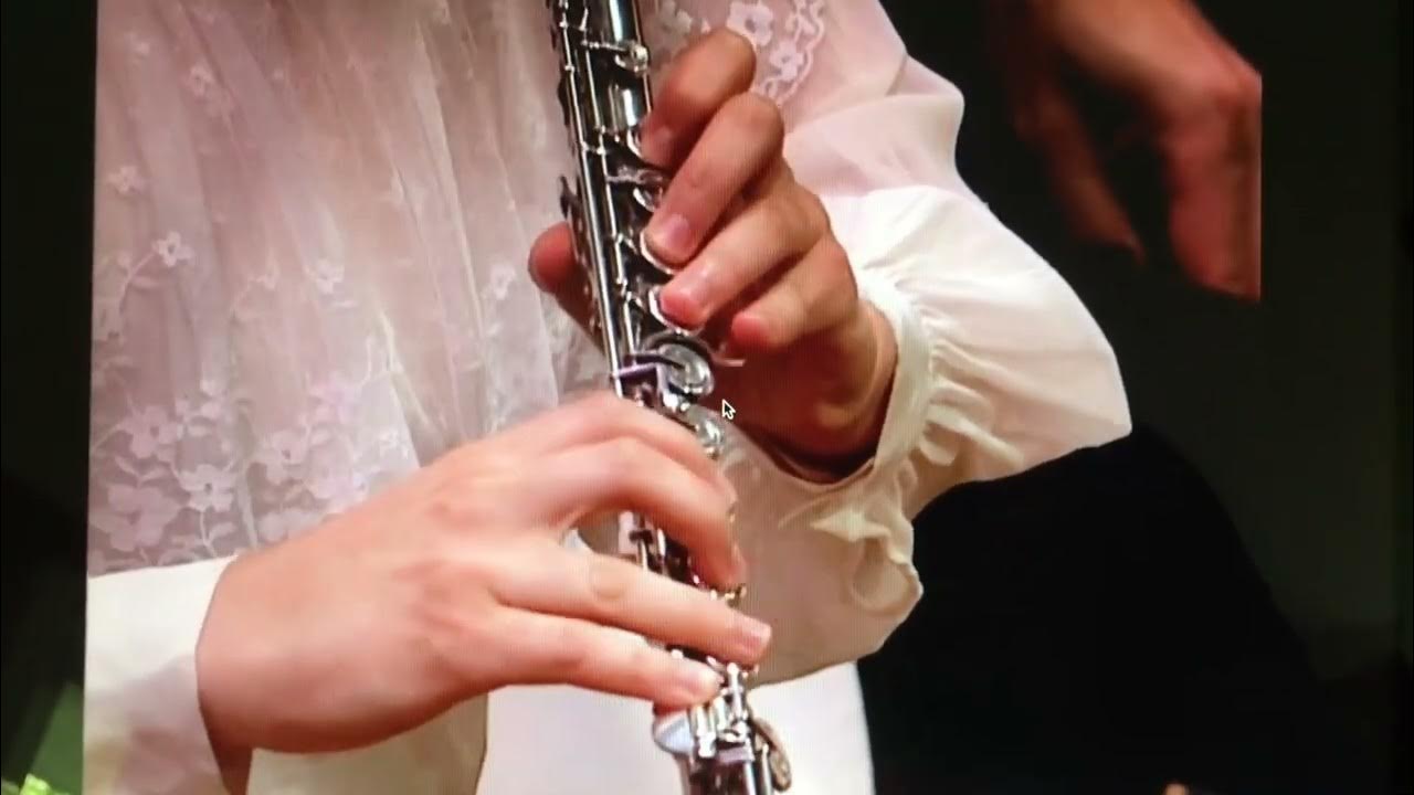 Flute Excerpt in Peter and the Wolf YouTube