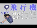 飛行機が怖い方へ✈️不安解消グッズと耳が痛い方におすすめ！3種類のサイレンシアフライトエアー耳栓レビュー