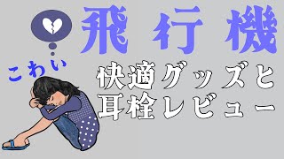 飛行機が怖い方へ✈️不安解消グッズと耳が痛い方におすすめ！3種類のサイレンシアフライトエアー耳栓レビュー