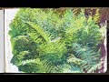 Painting Ferns with James Gurney