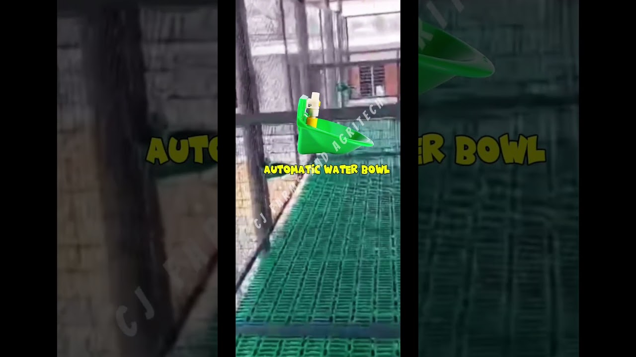 Top-Quality Goat & Sheep Farming Equipment | Deliver Across India