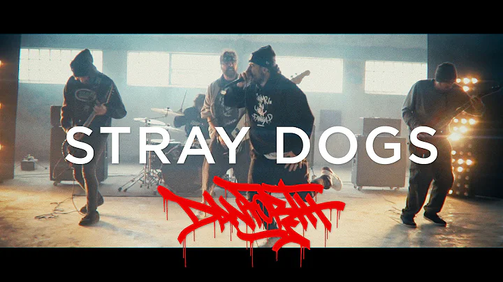 DANFORTH   STRAY DOGS