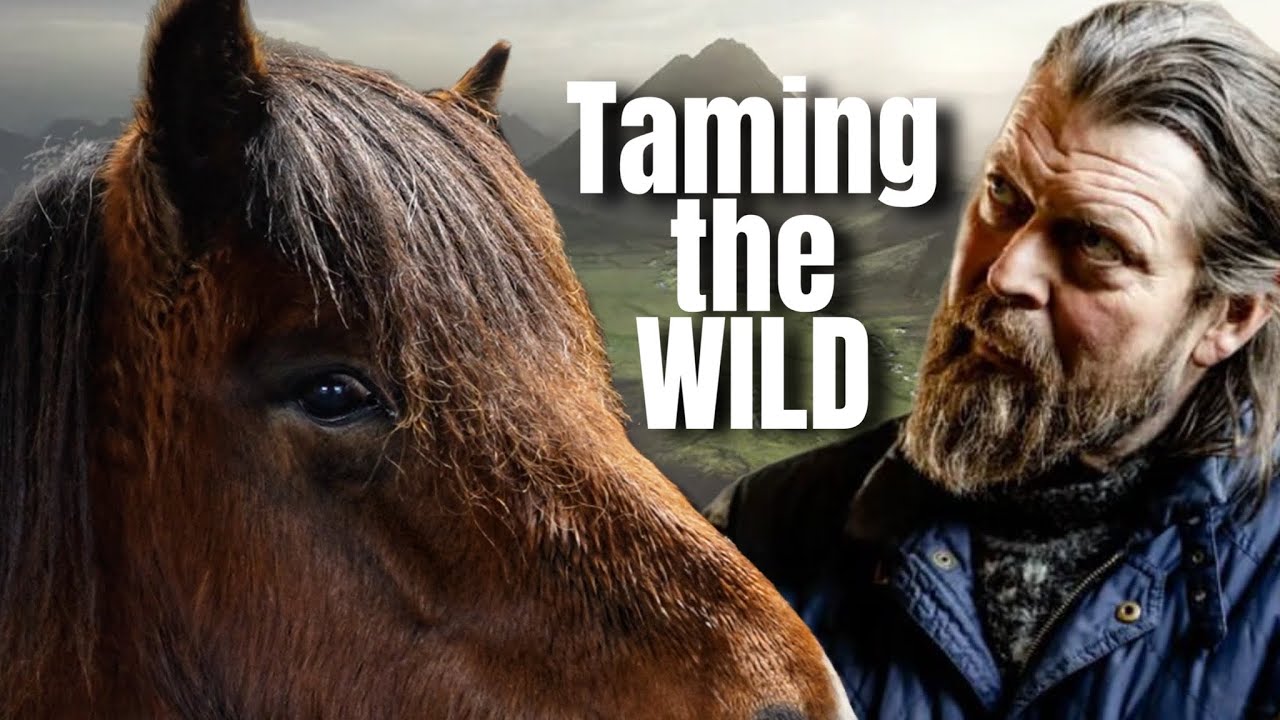 ICELANDIC HORSES ~ FROM WILD TO WILLING WITH HORSEMANSHIP