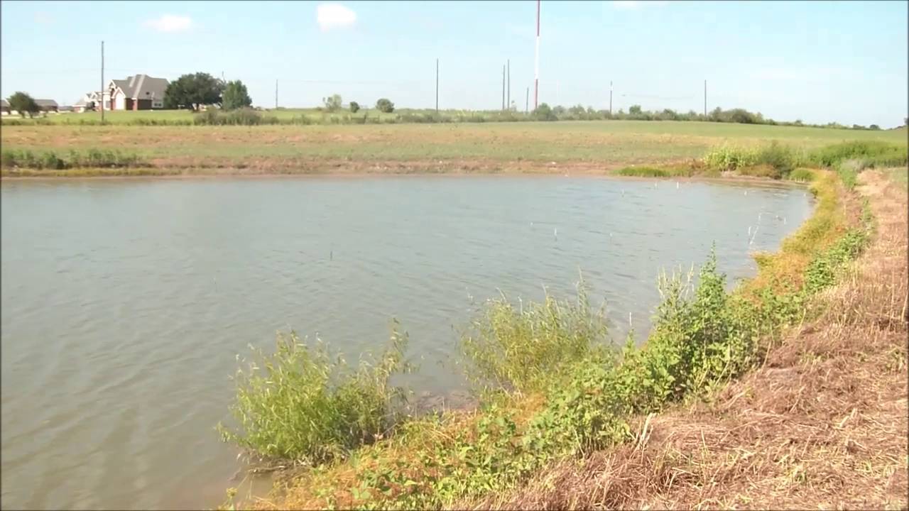 80 Acres For Sale Bell County Texas YouTube