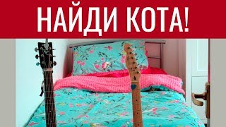 НАЙДИ КОТА 🐈 Попробуй найти кота на картинке. БУДЬ В КУРСЕ TV