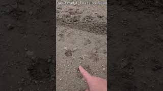White River Badlands. Day 3 Part 1: Toadstool Road Troubles  #paleoanalysis #animals #shorts #funny