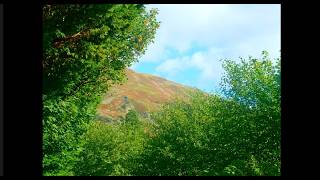 Colour Grading test 2 With Music.