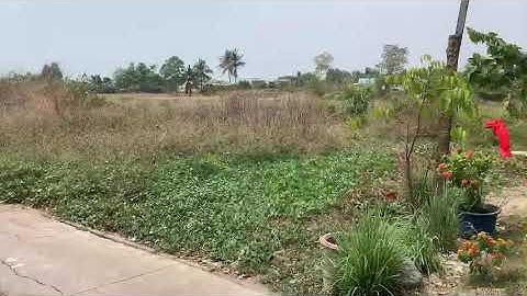 300m2  thổ Cần  Giuộc -Long An