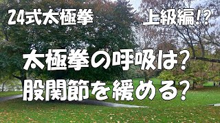 【24式太極拳】呼吸と股関節の緩め方について