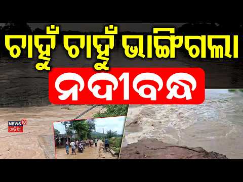 ଚାହୁଁ ଚାହୁଁ ଭାଙ୍ଗିଲା ବନ୍ଧ | Major Embankment Breach in Jajpur Triggers Flood | Odisha Flood News
