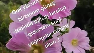 Sedat Kurt Gök Yüzüm Sen Ol Birtanem