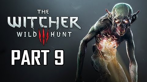 The Witcher 3: Wild Hunt Walkthrough Part 9 - Wandering in the Dark (PS4 Let