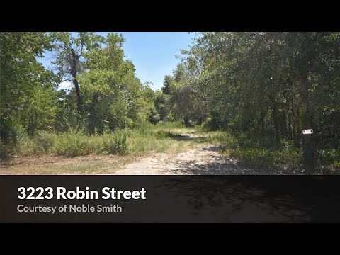 3223 Robin Street, Brookshire, TX home video tour