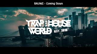 BAUWZ - Coming Down