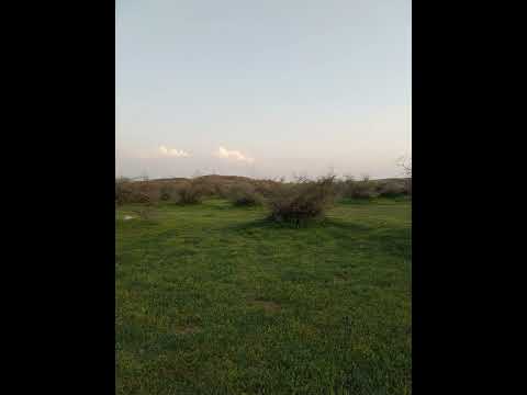 شيلة أبنصحك كلمات الشاعر الكبير سعد بن جدلان جديد 2023