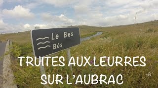 A La Recherche Des Zébrées Daubrac - Truites Aux Leurres (2016)