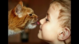 😄 Приди, КОТИК, ночевать! КОТЫ и ДЕТИ - лучшие ДРУЗЬЯ❗? 😄 Приди, КОТИК, ночевать! КОТЫ и ДЕТИ - лучшие ДРУЗЬЯ❗?