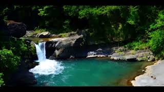 Whispers of the Emerald Falls: 1 hour soft, meditation, clam background music
