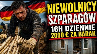 Polacy Pracują 16H... A Niemcy Chcą Płacić Mniej? 11 Zamiast 13,90