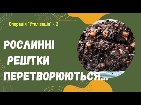 Як з осіннього