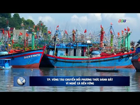 Video Chương trình Thời sự Hòa nhịp phát triển 28/11/2022 |... - youtube