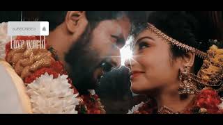 Samyuktha Vishnukanth Marriage Video Niraimatha Nilaveravi Renusippikul Muthu Serial Love Life