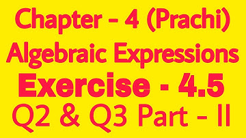 Class - 8th (Prachi) || Chapter - 4 Algebraic Expressions || Exercise - 4.5  Q2 & Q3 Part 2