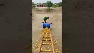 Today new Islamic Video Ai #allah #viral #pakhinduvlogger01 #shorts