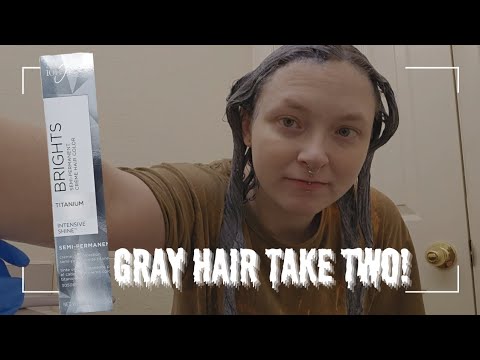 GRAY HAIR EXPERIMENT TAKE TWO! | Dying my hair gray again!
