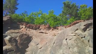 Gamzt - Electric Amanita Ft. Fredrik Landmark