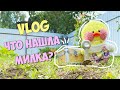 Что нашла Милка на даче?!? Мой летний день с уточкой Lalafanfan!