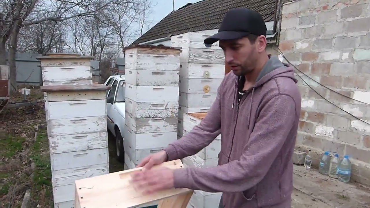 Полная распродажа пасеки Александра. Почему решил бросить заниматься пчелами.